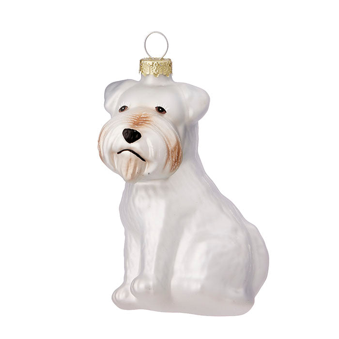 XMORDOG001.jpg